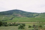 007_Tokaj_800x600.jpg (thumbnail)