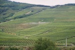 008_Tokaj_800x600.jpg (thumbnail)