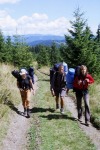 044_Piciorul_800x600.jpg (thumbnail)