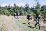 045_Piciorul_800x600.jpg (thumbnail)