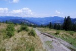 047_Piciorul_800x600.jpg (thumbnail)