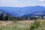 048_Piciorul_800x600.jpg (thumbnail)