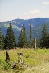052_Gyalulat_800x600.jpg (thumbnail)