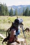 053_Gyalulat_800x600.jpg (thumbnail)