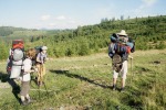 058_Rivo_800x600.jpg (thumbnail)