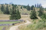 074_Tengheler_800x600.jpg (thumbnail)