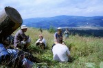 079_Muntele Nou_800x600.jpg (thumbnail)