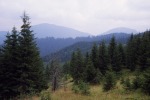 087_Nierghes_800x600.jpg (thumbnail)