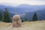 089_Nierghes_800x600.jpg (thumbnail)