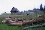 095_Saua Nierghes_800x600.jpg (thumbnail)