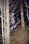 101_Licas_800x600.jpg (thumbnail)