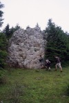 102_Licas_800x600.jpg (thumbnail)
