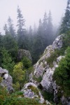 106_Licas_800x600.jpg (thumbnail)