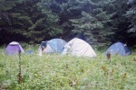 109_Suhard_800x600.jpg (thumbnail)
