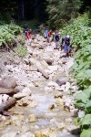110_Suhard_800x600.jpg (thumbnail)