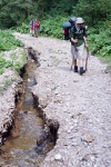 113_Suhard_800x600.jpg (thumbnail)
