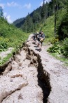 114_Suhard_800x600.jpg (thumbnail)