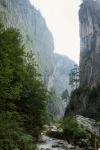 176_Bicaz_800x600.jpg (thumbnail)