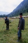 200_Kerekut_800x600.jpg (thumbnail)