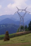 202_Kerekut_800x600.jpg (thumbnail)