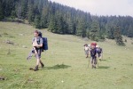 209_Poiana Alba_800x600.jpg (thumbnail)