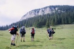 210_Poiana Alba_800x600.jpg (thumbnail)