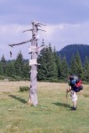 212_Poiana Alba_800x600.jpg (thumbnail)