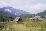 214_Poiana Alba_800x600.jpg (thumbnail)