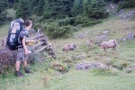 215_Poiana Alba_800x600.jpg (thumbnail)