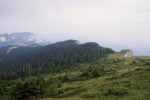 221_Haghimasu Mare_800x600.jpg (thumbnail)